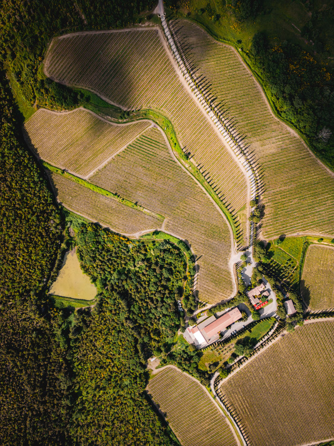 Poggio Antico
