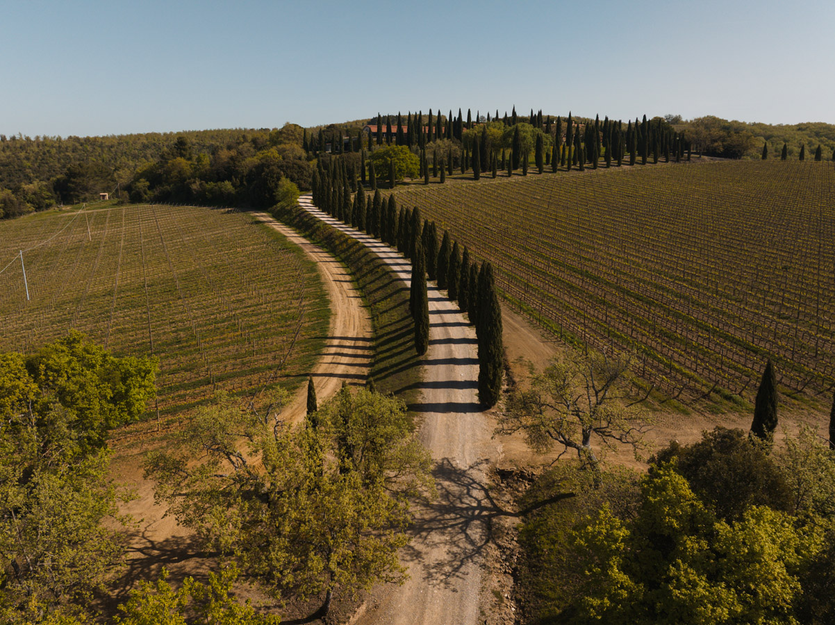 Poggio Antico