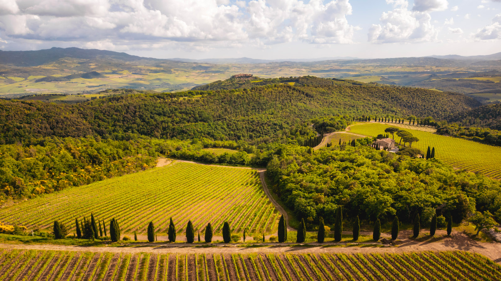 Poggio Antico