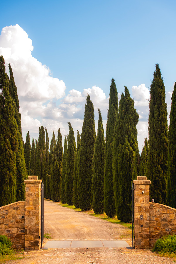Poggio Antico