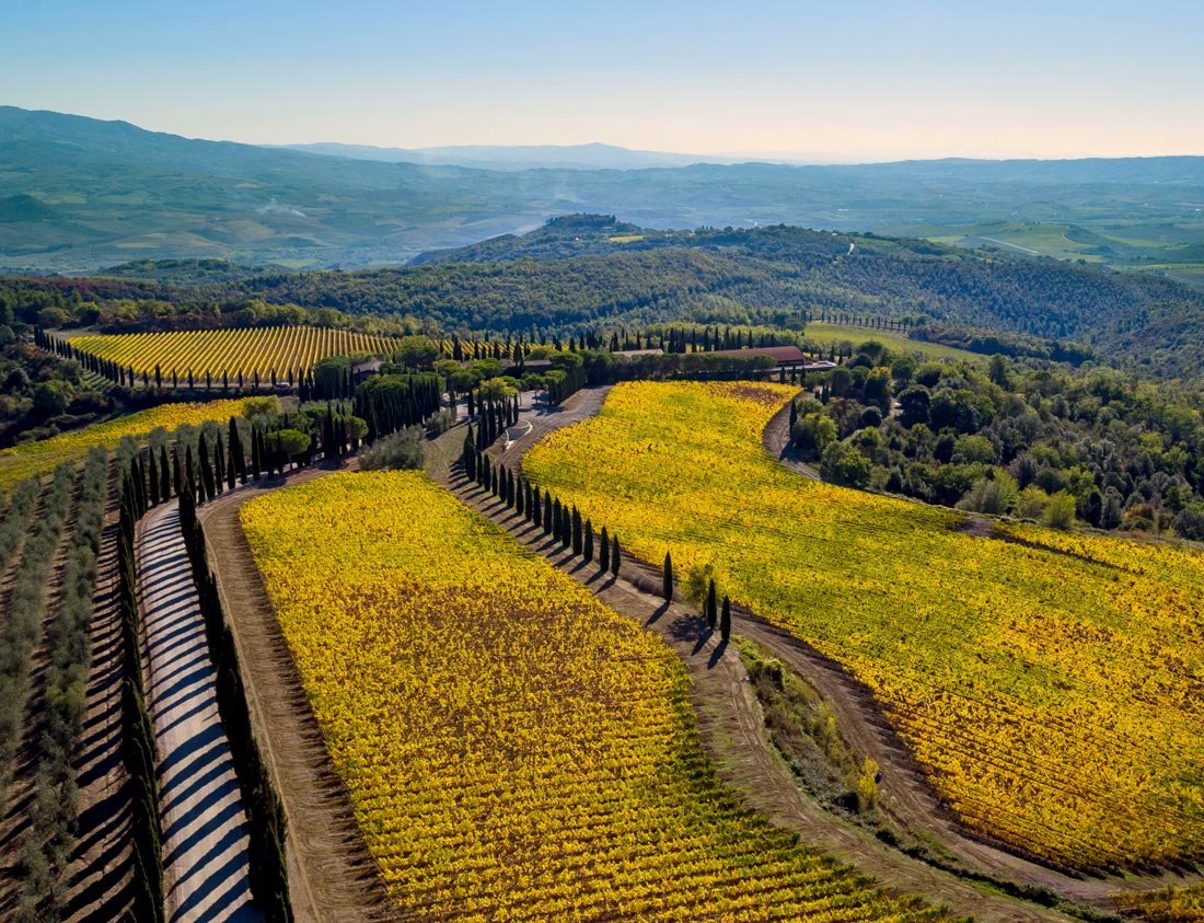 Poggio Antico